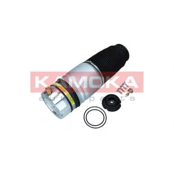 Ressort pneumatique, châssis KAMOKA 2079009