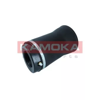 Ressort pneumatique, châssis KAMOKA 2079028
