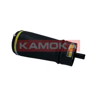 Ressort pneumatique, châssis KAMOKA 2079031