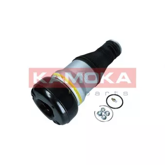 Ressort pneumatique, châssis arrière droit KAMOKA 2079058