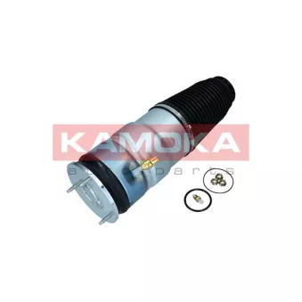 Ressort pneumatique, châssis KAMOKA 2079066