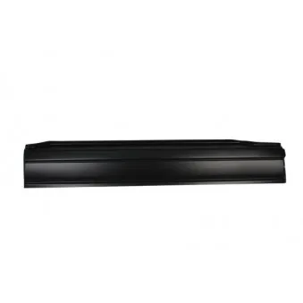 Panneau latéral BLIC 6505-06-9558001P