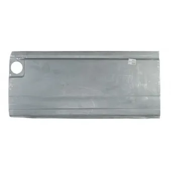 Panneau latéral BLIC 6505-06-9558003P