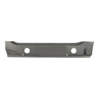 Plaque de seuil avant gauche BLIC 6505-06-9558013P