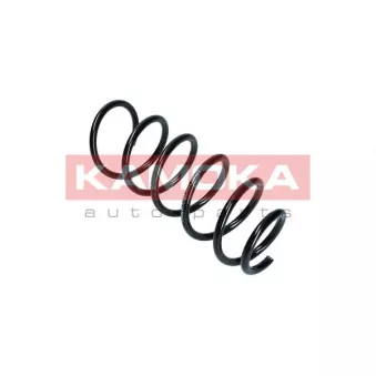 Ressort de suspension KAMOKA 2110281