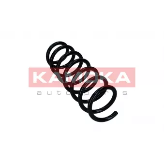 Ressort de suspension KAMOKA 2110419