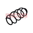 Ressort de suspension KAMOKA 2110455 - Visuel 2