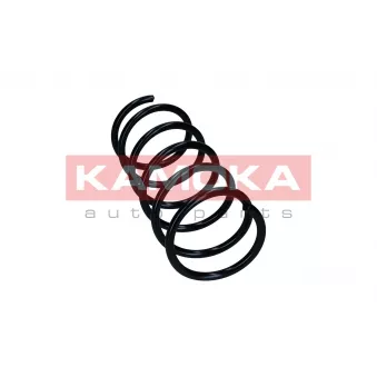 Ressort de suspension KAMOKA 2110554