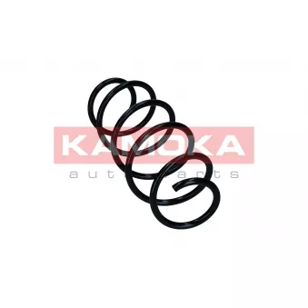 Ressort de suspension KAMOKA 2110822