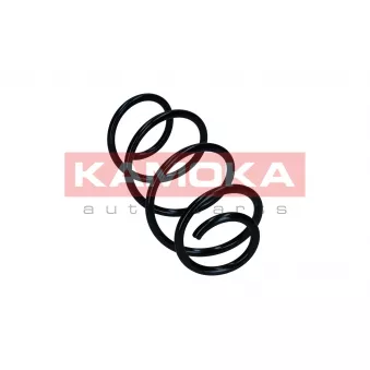 Ressort de suspension KAMOKA 2110844