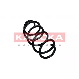 Ressort de suspension KAMOKA 2110846