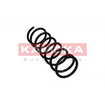 Ressort de suspension KAMOKA 2110882