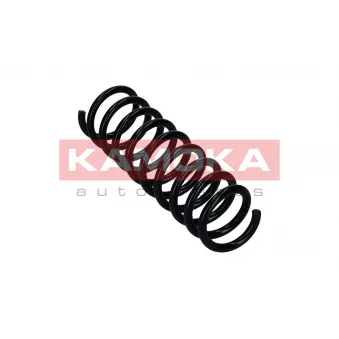 Ressort de suspension KAMOKA 2120488