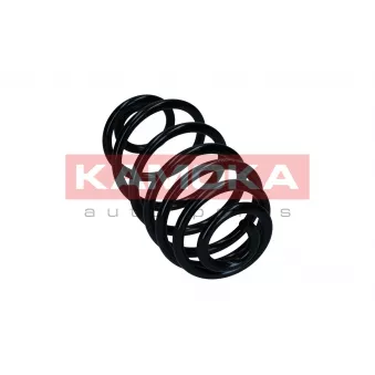 Ressort de suspension KAMOKA 2120552