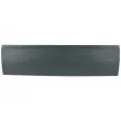 Porte, Carrosserie BLIC 6508-01-3546150P - Visuel 1
