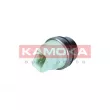 Interrupteur de température, ventilateur de radiateur KAMOKA 4090032 - Visuel 3