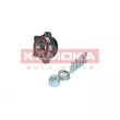 Roulement de roue avant KAMOKA 5500238 - Visuel 1