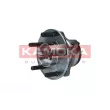 Roulement de roue arrière KAMOKA 5500258 - Visuel 2