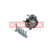 Roulement de roue avant KAMOKA 5500376 - Visuel 2