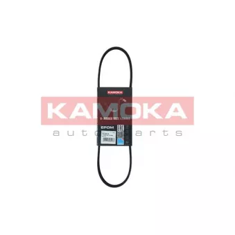 Courroie trapézoïdale à nervures KAMOKA 7013010