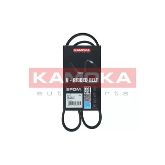Courroie trapézoïdale à nervures KAMOKA 7013017