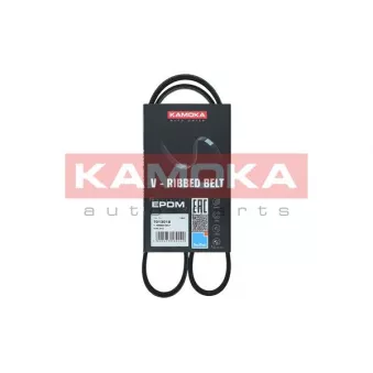 Courroie trapézoïdale à nervures KAMOKA 7013018