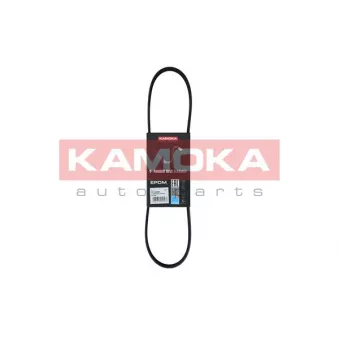 Courroie trapézoïdale à nervures KAMOKA