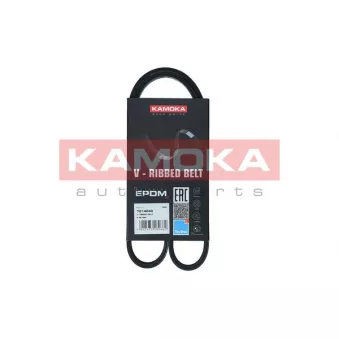 Courroie trapézoïdale à nervures KAMOKA 7014040