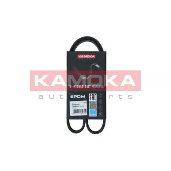 Courroie trapézoïdale à nervures KAMOKA 7014049