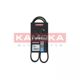 Courroie trapézoïdale à nervures KAMOKA 7014054