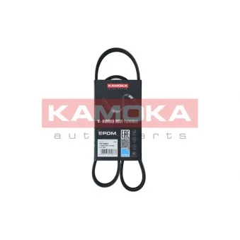 Courroie trapézoïdale à nervures KAMOKA 7014061
