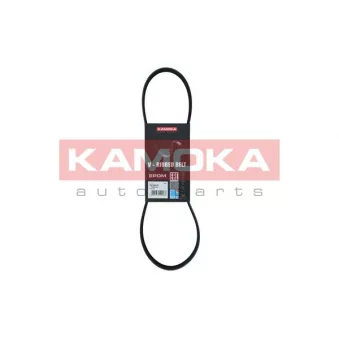 Courroie trapézoïdale à nervures KAMOKA 7015010
