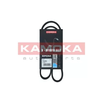 Courroie trapézoïdale à nervures KAMOKA 7015021