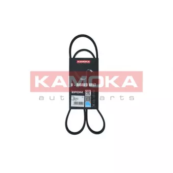 Courroie trapézoïdale à nervures KAMOKA 7015041