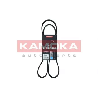 Courroie trapézoïdale à nervures KAMOKA 7015065