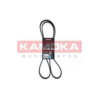 Courroie trapézoïdale à nervures KAMOKA 7015077