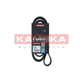 Courroie trapézoïdale à nervures KAMOKA 7015080