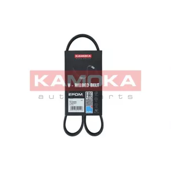 Courroie trapézoïdale à nervures KAMOKA 7016022