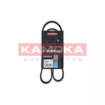 Courroie trapézoïdale à nervures KAMOKA 7016025