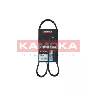 Courroie trapézoïdale à nervures KAMOKA 7016030