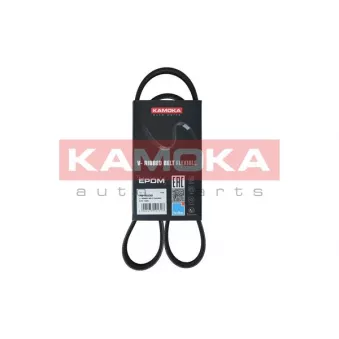 Courroie trapézoïdale à nervures KAMOKA 7016039