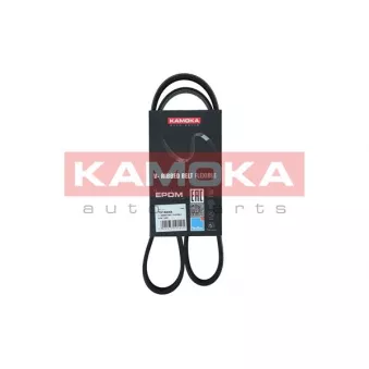 Courroie trapézoïdale à nervures KAMOKA 7016048