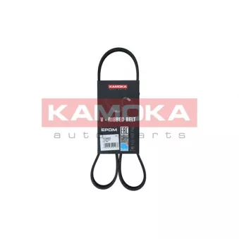 Courroie trapézoïdale à nervures KAMOKA 7016054