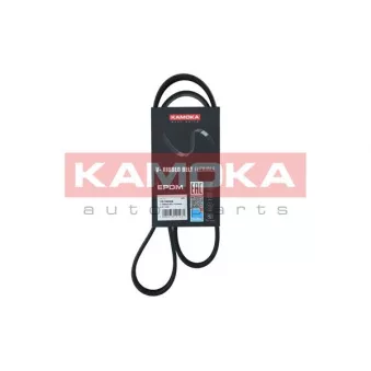 Courroie trapézoïdale à nervures KAMOKA 7016056