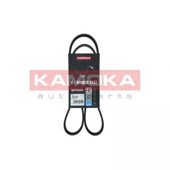 Courroie trapézoïdale à nervures KAMOKA 7016062