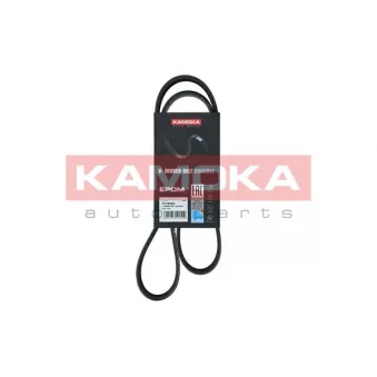 Courroie trapézoïdale à nervures KAMOKA 7016063