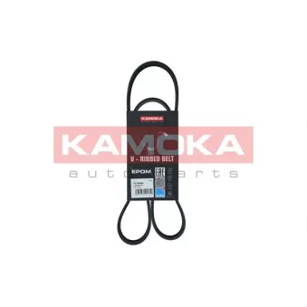 Courroie trapézoïdale à nervures KAMOKA 7016069