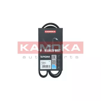 Courroie trapézoïdale à nervures KAMOKA 7016071
