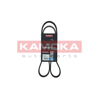 Courroie trapézoïdale à nervures KAMOKA 7016075