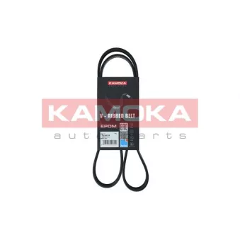 Courroie trapézoïdale à nervures KAMOKA 7016078